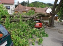 Kwikfynd Tree Cutting Services
mountstanley
